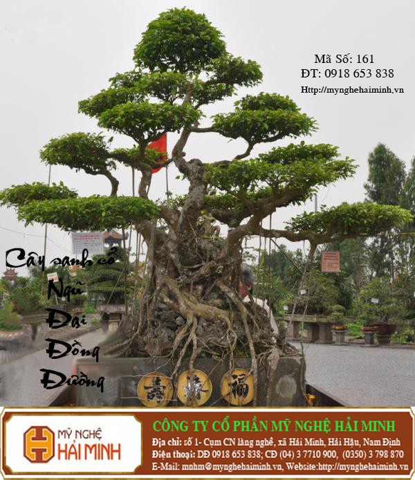 Do go my nghe Hai Minh - Hai Hau - Nam Dinh